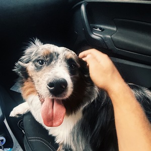 Fundraising Page: Tre Barrett